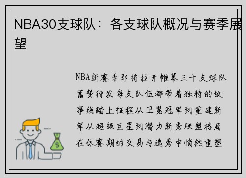 NBA30支球队:各支球队概况与赛季展望