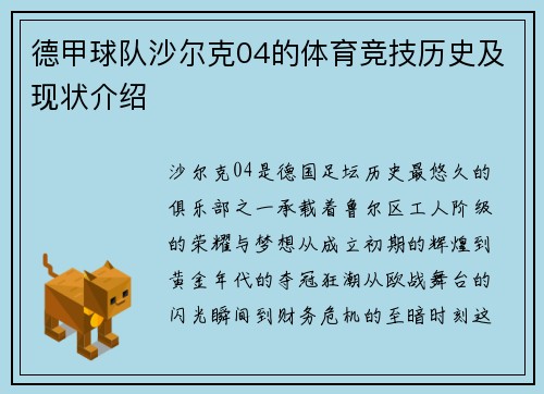 德甲球队沙尔克04的体育竞技历史及现状介绍